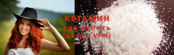 сатива Покачи